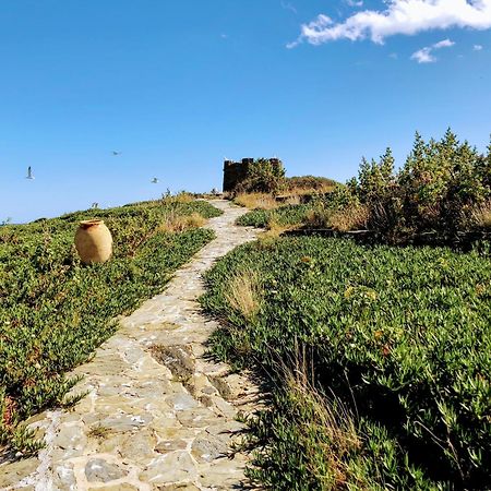 Isla Privada En Cadaques De Ensueno Con 11 Habitaciones Dobles Con Bano Privado Y Piscina Экстерьер фото