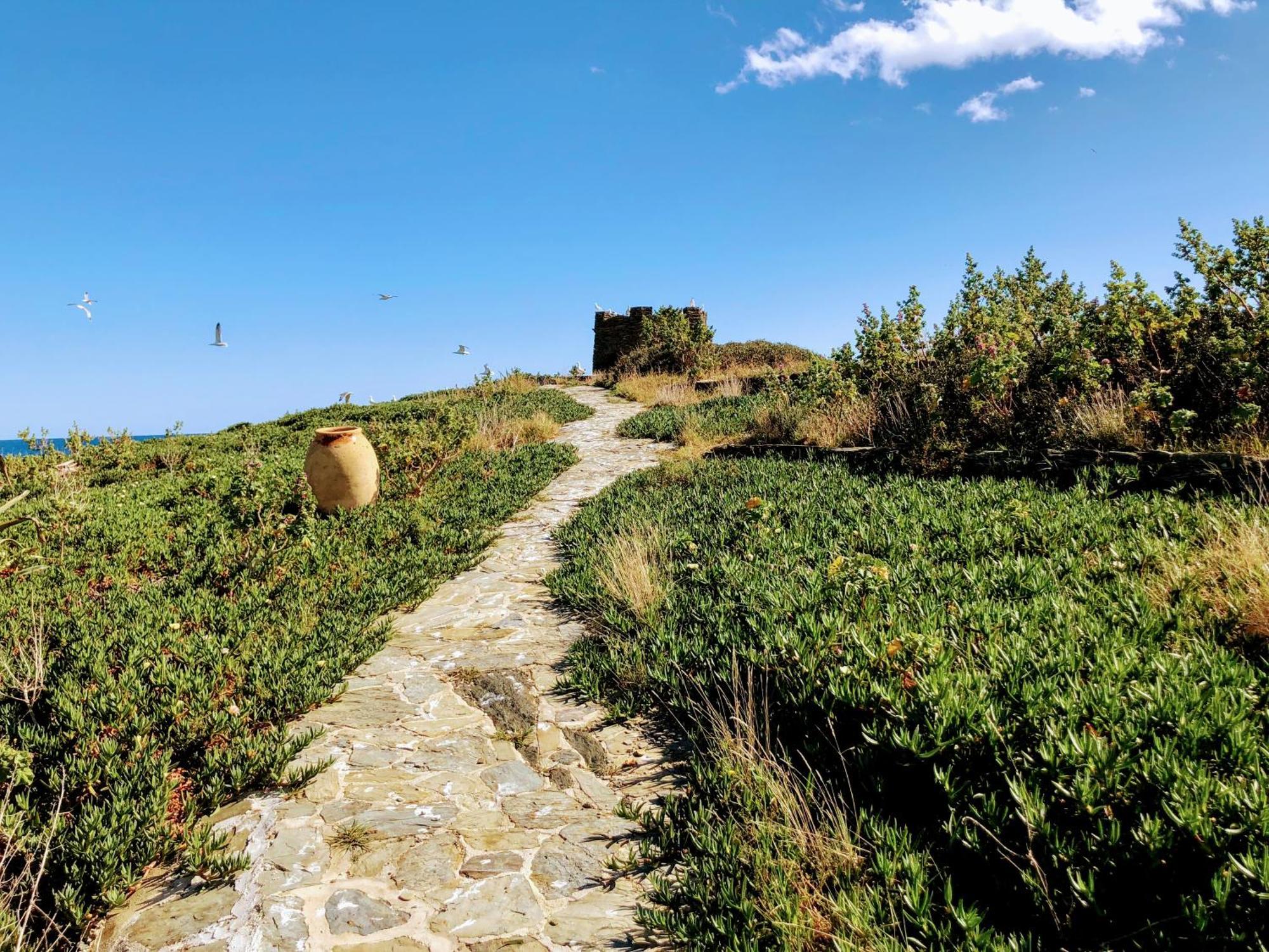 Isla Privada En Cadaques De Ensueno Con 11 Habitaciones Dobles Con Bano Privado Y Piscina Экстерьер фото