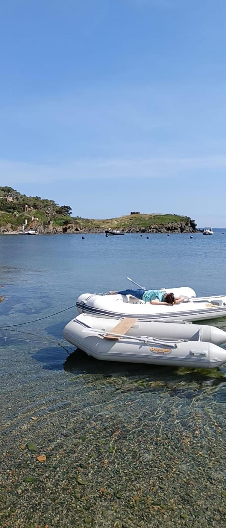 Isla Privada En Cadaques De Ensueno Con 11 Habitaciones Dobles Con Bano Privado Y Piscina Экстерьер фото