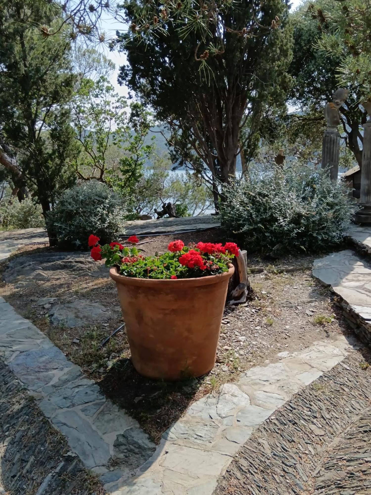 Isla Privada En Cadaques De Ensueno Con 11 Habitaciones Dobles Con Bano Privado Y Piscina Экстерьер фото