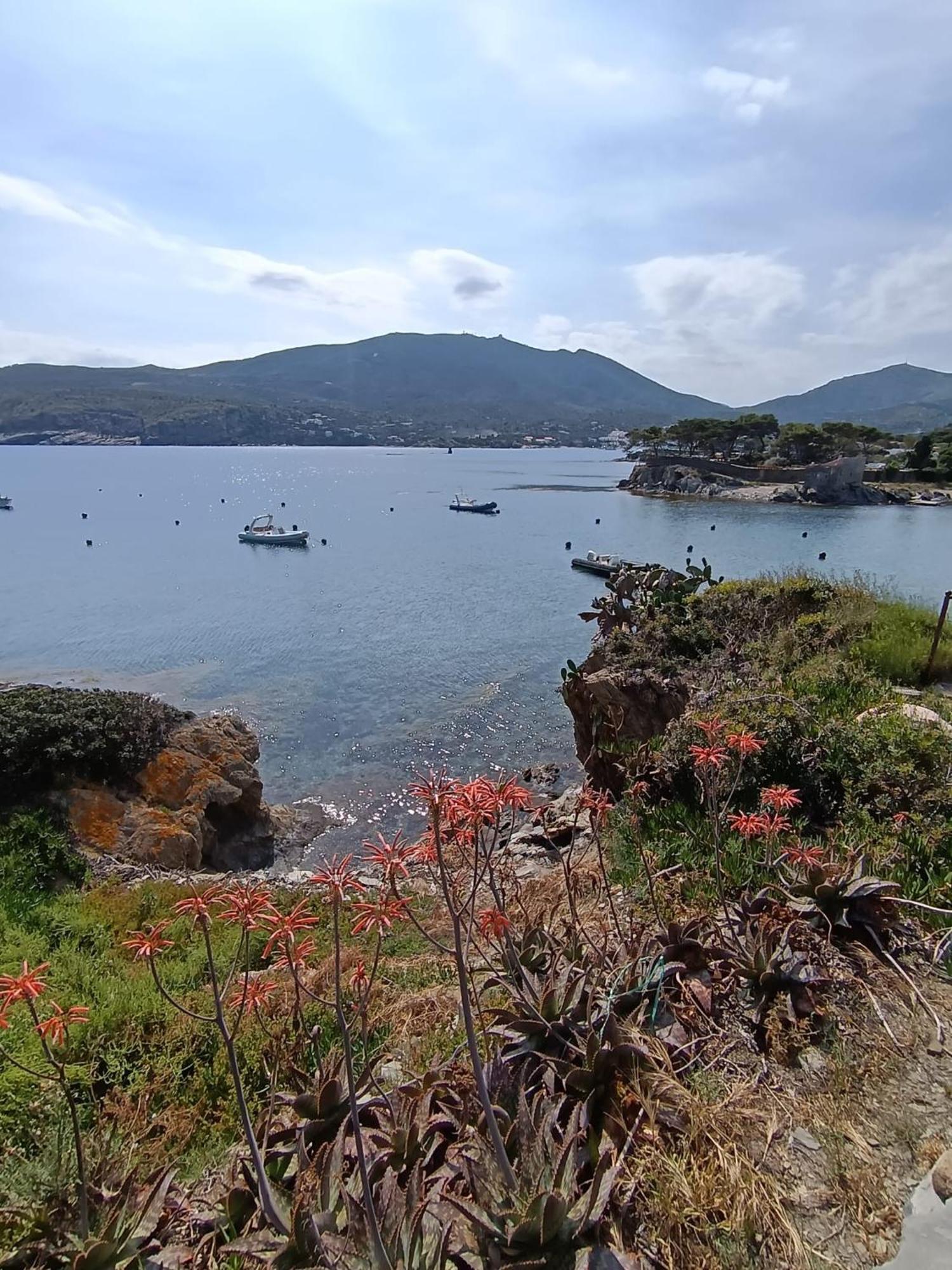 Isla Privada En Cadaques De Ensueno Con 11 Habitaciones Dobles Con Bano Privado Y Piscina Экстерьер фото